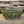 Load image into Gallery viewer, Wheel thrown carved bowl has a blue celadon glaze with additional blue-green accents
