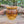 Load image into Gallery viewer, Lidded jar with amber celadon glaze and texture on lid
